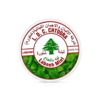 Chtoora Fresh Labneh with Mint 225g