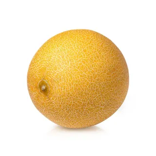 Galia Melon Spain