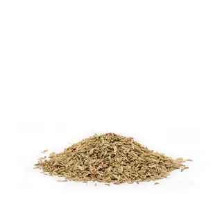 Fennel Seeds