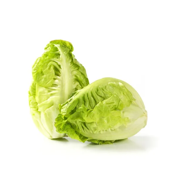 Little Gem Lettuce Spain 4pc