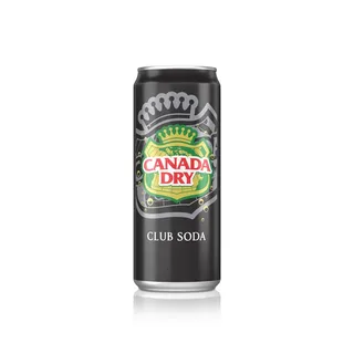 Canada Dry Soda 330ml Can