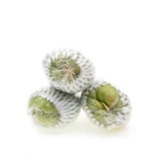 Chayote Squash
