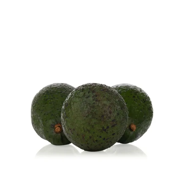 Hass Avocado South Africa