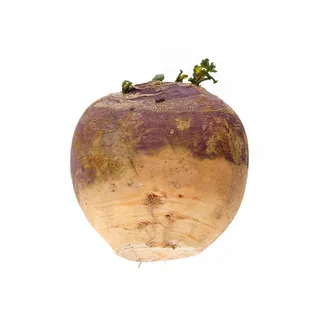 Holland Swede