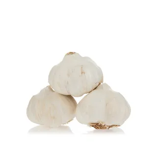 Spanish Jumbo Garlic
