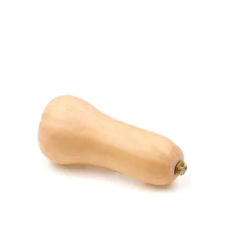 Butternut Squash South Africa