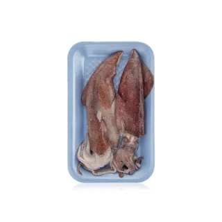 Fresh Squid UAE