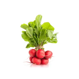 Lakeside Organic Red Radish