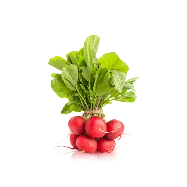 Lakeside Organic Red Radish
