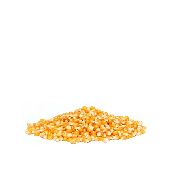 Popcorn Kg