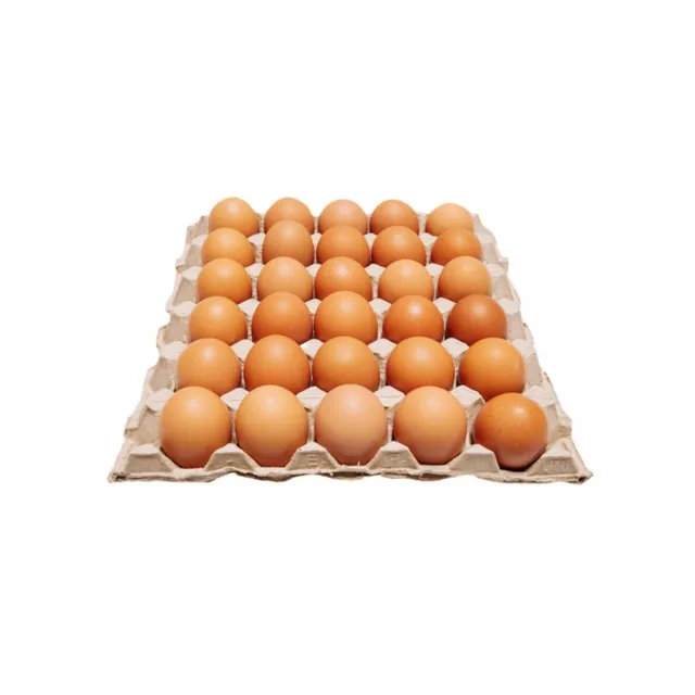 بيض بني طازج كبير 30 حبة