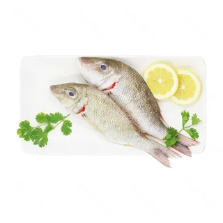 سمك شعري صغير 500 جم