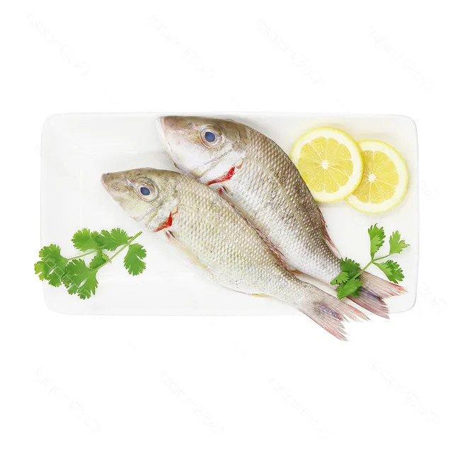 سمك شعري صغير 500 جم