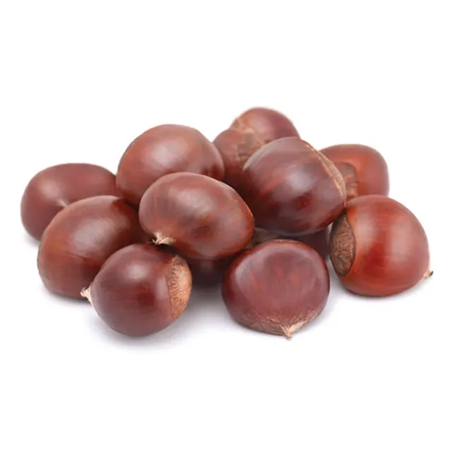 كستناء الصين 500 جم