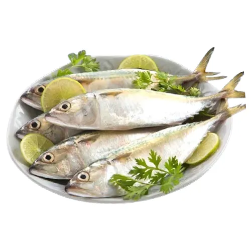 ماكريل صغير 500 جم