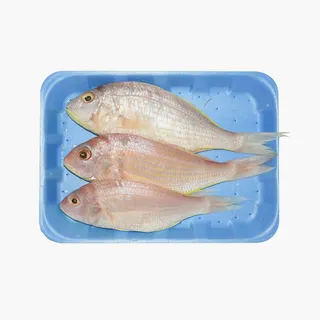 Sultan Basi Doha 500 g