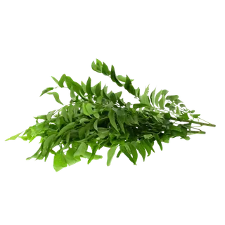 ورق كاري أوغندا 100 جم