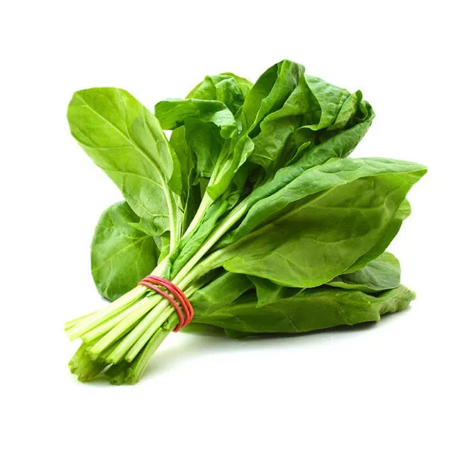 سبانخ صغيرة إيطاليا