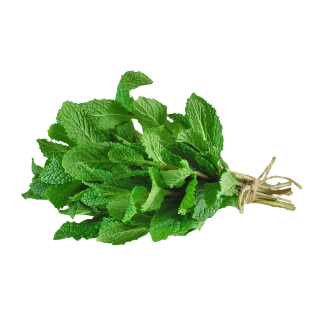 Mint Leaves Farm Qatar 100 g