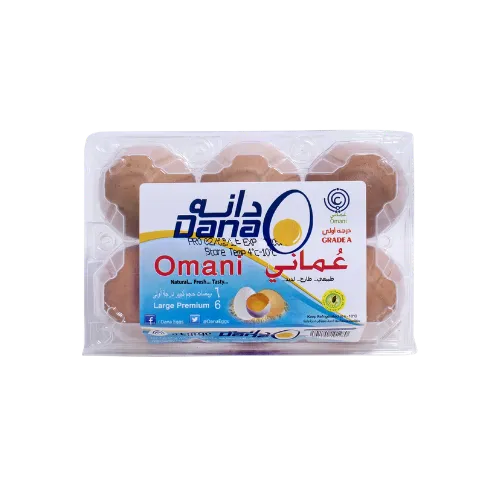 دانا بيض بني متوسط 6 قطع