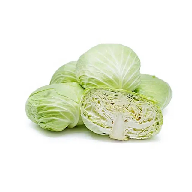 Cabbage Qatar
