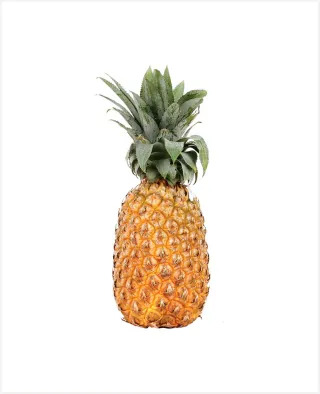 Pineapple India