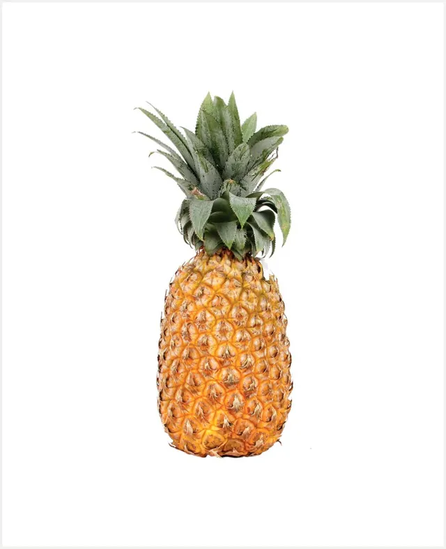 Pineapple India