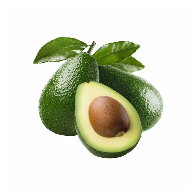 Avocado Kenya