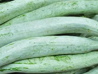قرع ثعباني 500g