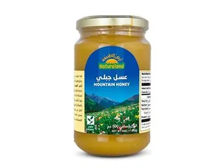 Natureland Mountain Honey 500 g