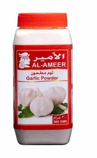 AL AMEER GARLIC PWDR 300GM