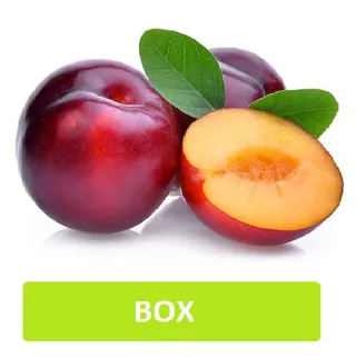 Plum Lebanon Box