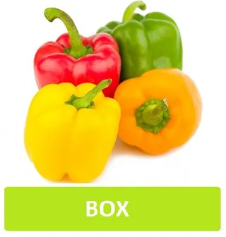 Capsicum Mix in Small Box - Jordan, 1 Box