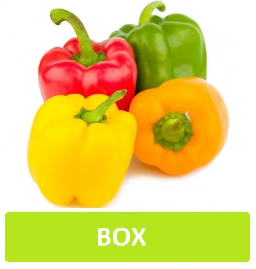 Capsicum Mix in Small Box - Jordan, 1 Box