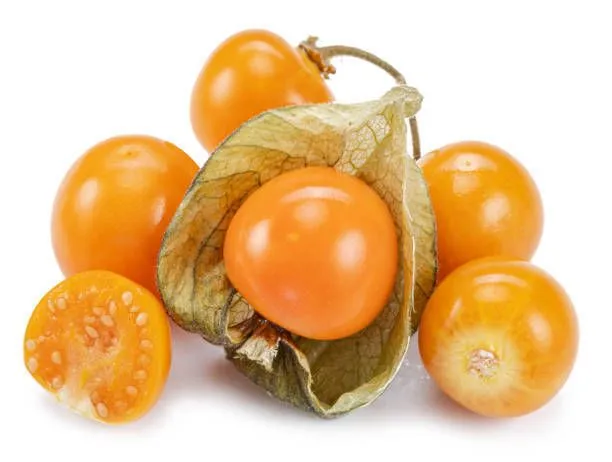 Golden Berries - Holland, 1 Pack
