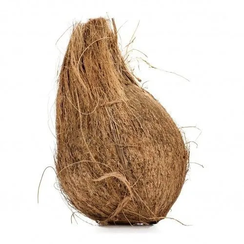 جوز هند مجفف كامل، 1 قطعة