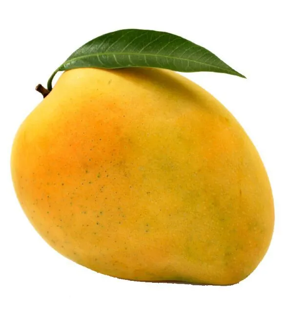 مانجو أفريقي 500g