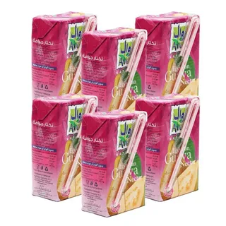 أول نكتار جوافة طبيعي, 6x125ml