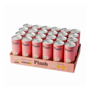 Flash Carb Drink Can, 24x250ml