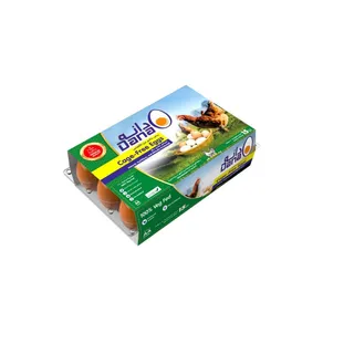 Dana Brown Cage Free Eggs, 15 Pieces