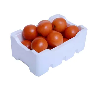 Tomato Medium Foam Box, 1 Box