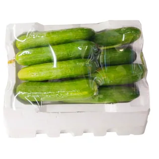 Cucumber Foam Box, 1 Box-new