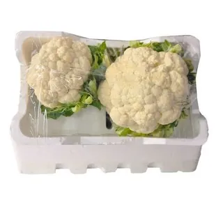 Cauliflower Foam Box Small, 750g