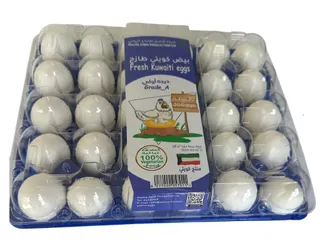 Palms Kuwaiti White Eggs, Size 60-70, 30 Pieces
