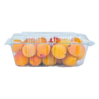 Agami Apricot Tray - Syria