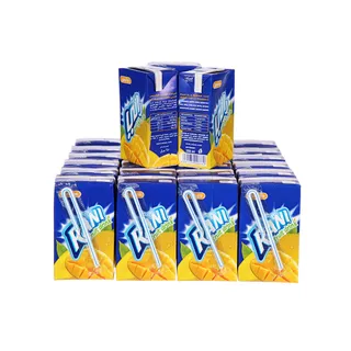 Rani Mango Juice, 24x250ml