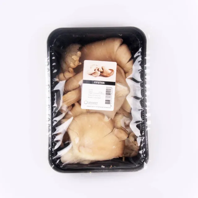 Levarht Mushroom Oyster, 1 Pack