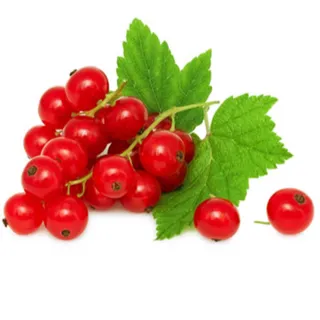 Holly Fruit Sweetkiss Label Red Currant, 125g