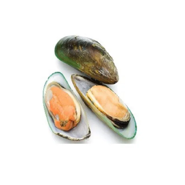 Frozen Half Shell Mussels, 1kg