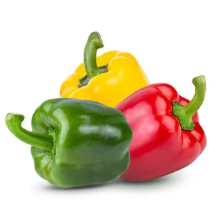 Capsicum Mix Medium 51008